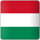 Международные перевозки из Венгрии. Доставка в Венгрию